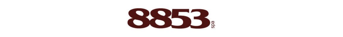 8853 definitivo logo